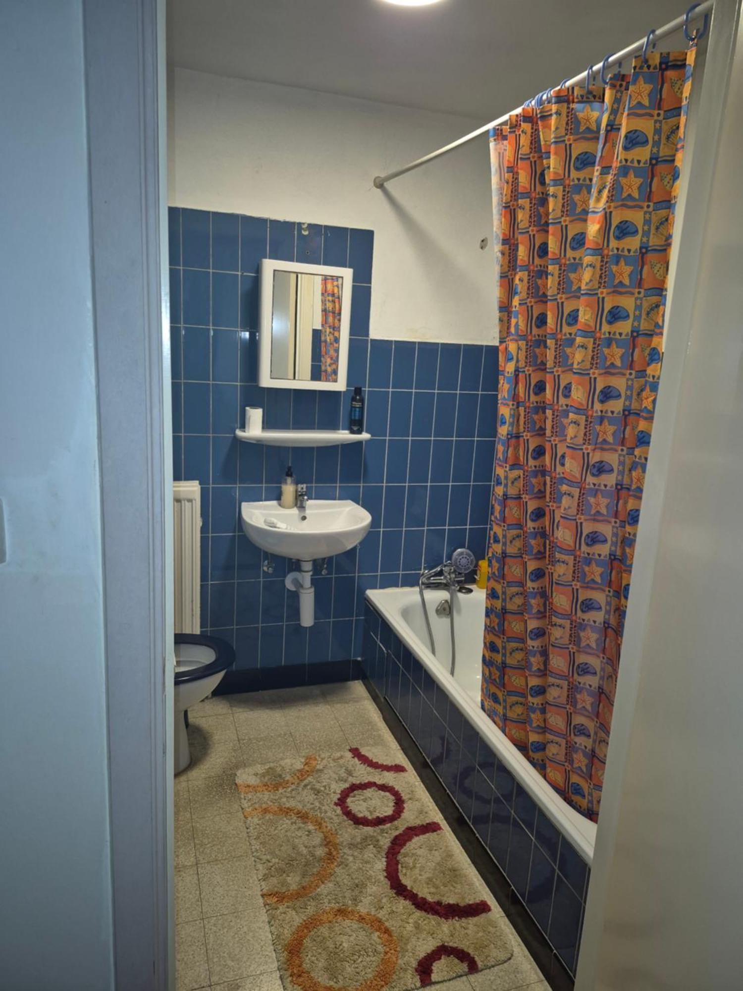 Gent'S Accomodations For Short And Middle Long Stay Екстер'єр фото