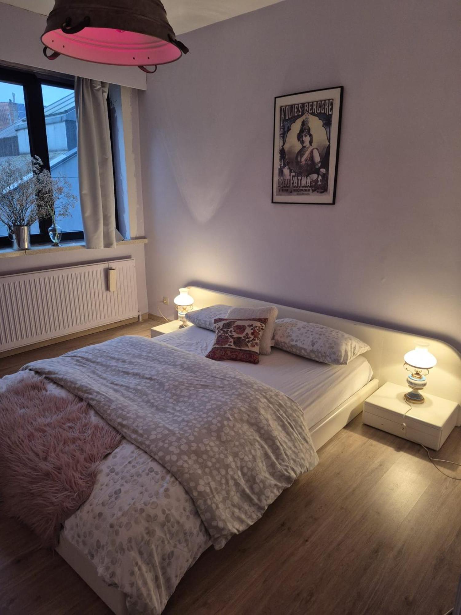 Gent'S Accomodations For Short And Middle Long Stay Екстер'єр фото